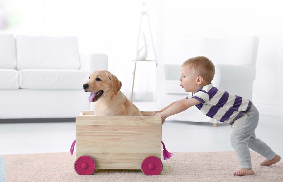 boy with toy and dog